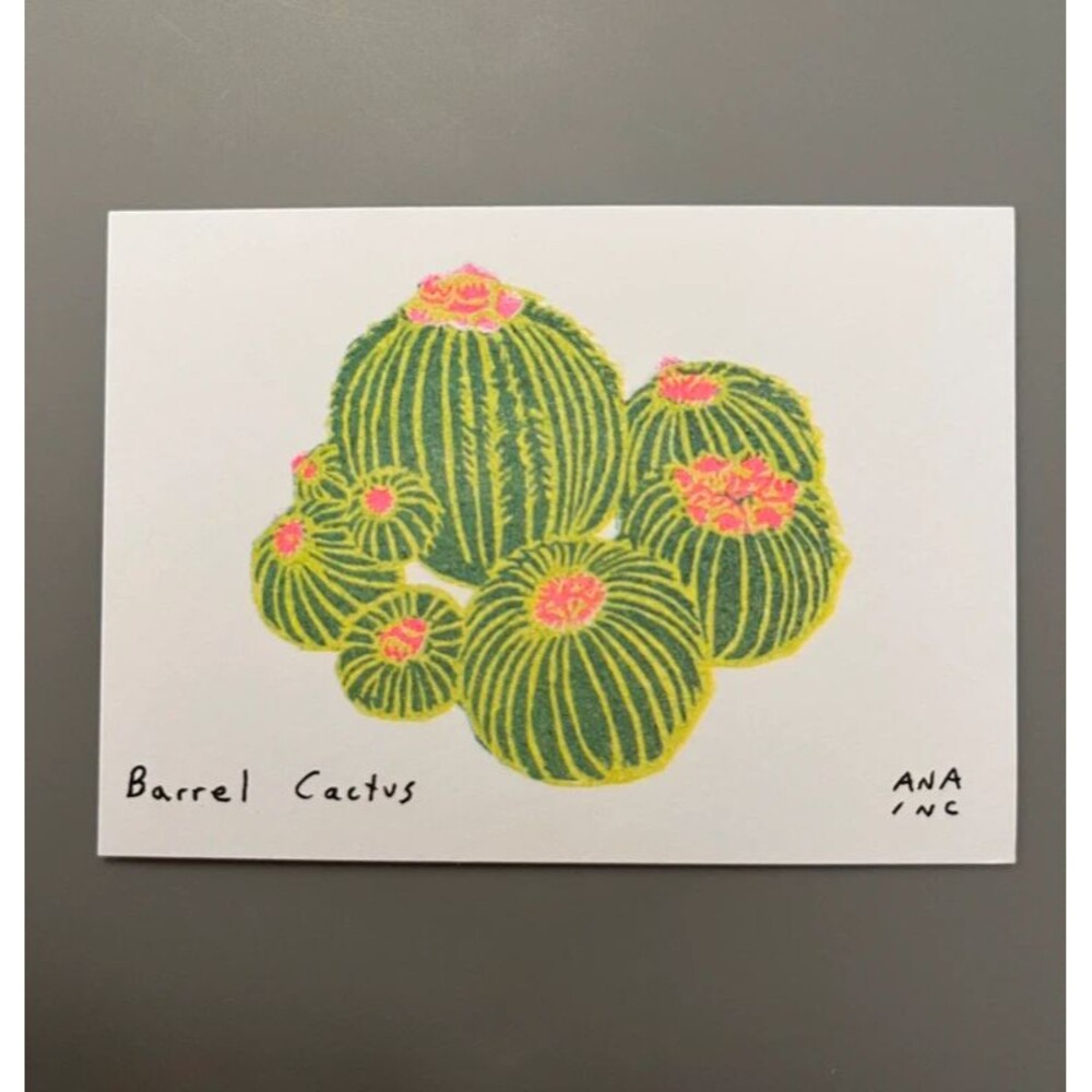 Ana Inciardi Mini Print - Barrel Cactus